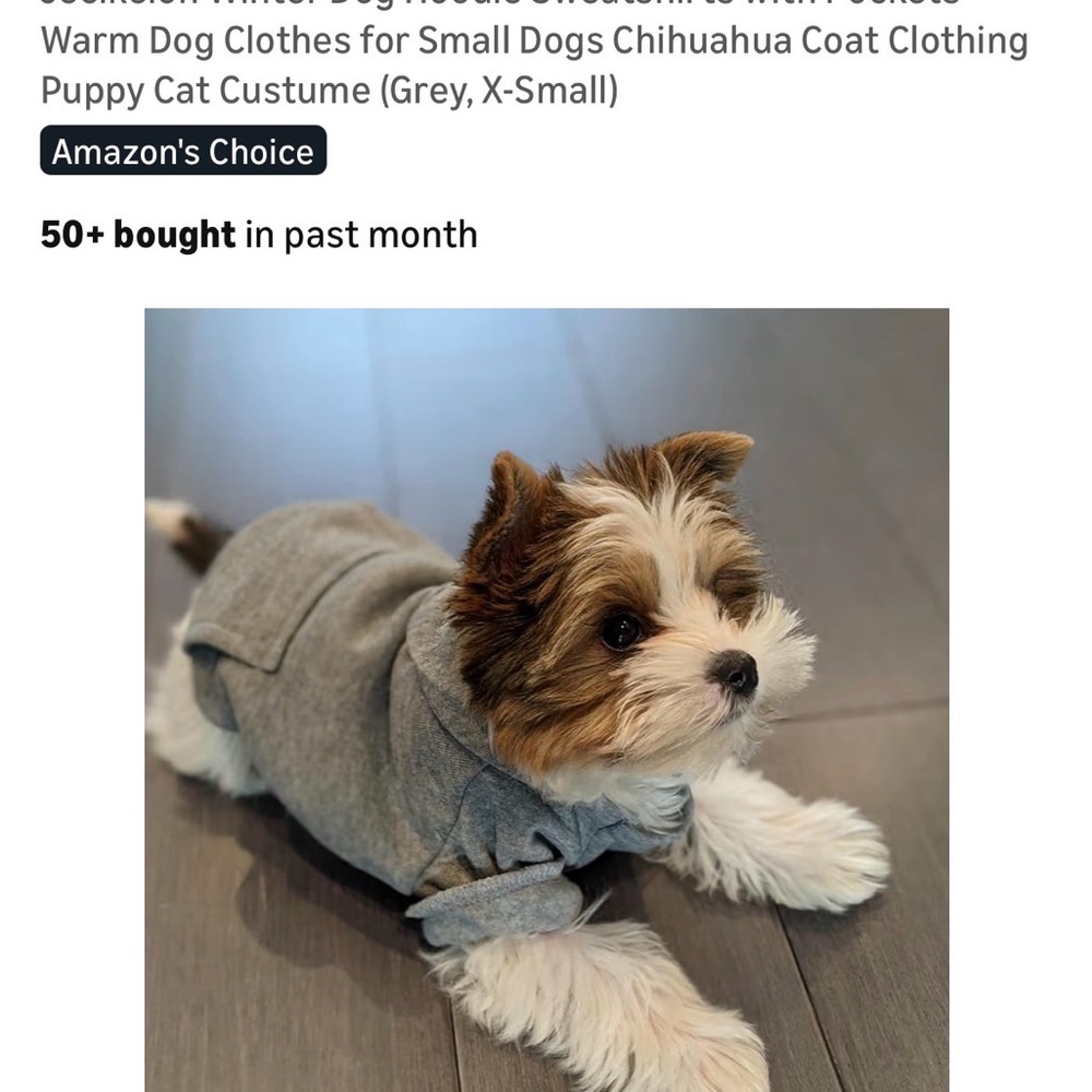 Amazon Gray Dog Hoodie for Small Breeds - Picture 2 of 7